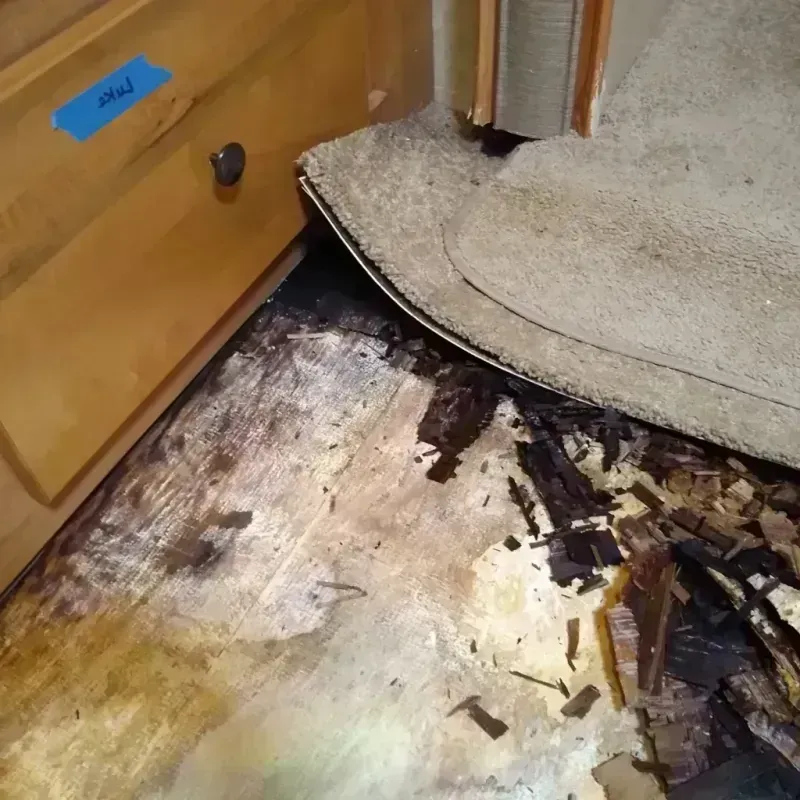 Best Wood Floor Water Damage Service in Maroa, IL